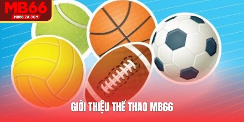 Giới thiệu thể thao MB66