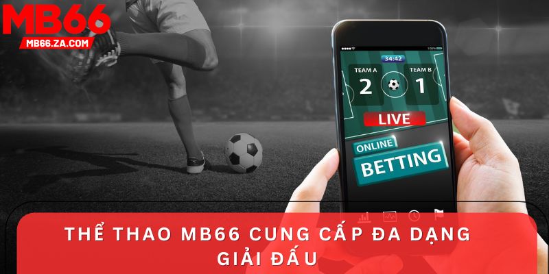 Thể thao MB66 cung cấp đa dạng giải đấu